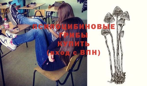 винт Лагань