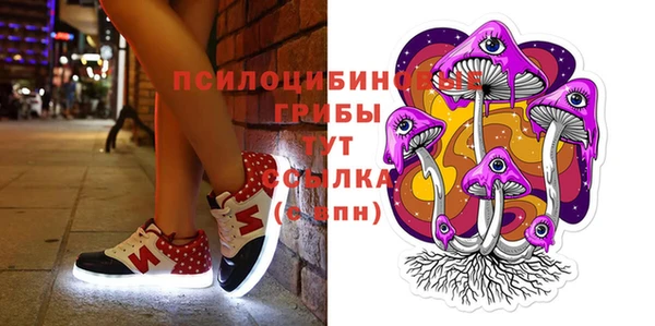 а пвп мука Ладушкин