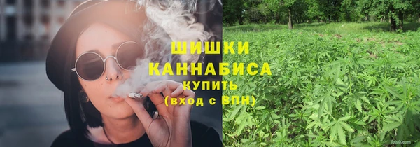 винт Лагань